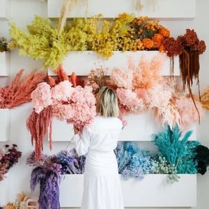 Meet your Posher, Elleni